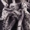 Мех средневорсовый принт (леопард серый с белым) VT-886-С3