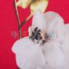 Супер софт принт (орхидеи) VT-1576-С1