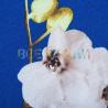 Супер софт принт (орхидеи) VT-1576-С2