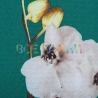 Супер софт принт (орхидеи) VT-1576-С3